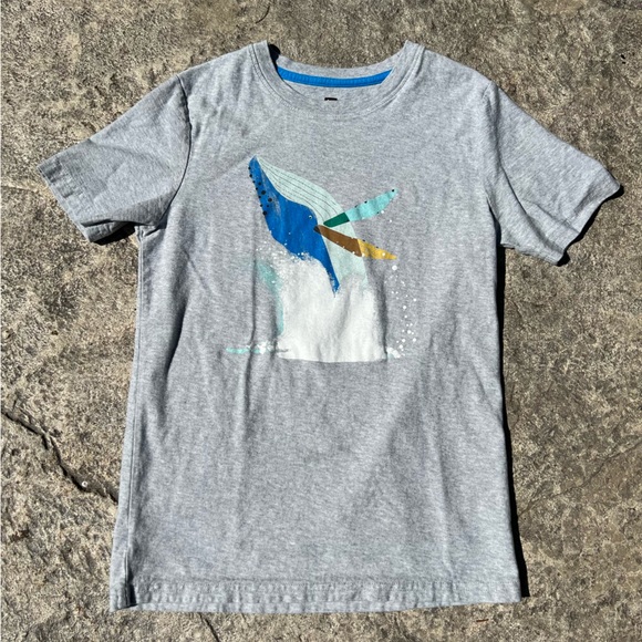 Tea Collection Shirts & Tops Euc Humpback Whale Tea Collection Tshirt 2 Poshmark